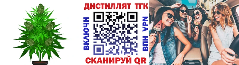 omg маркетплейс  купить наркотики цена  Северодвинск  Дистиллят ТГК THC oil 