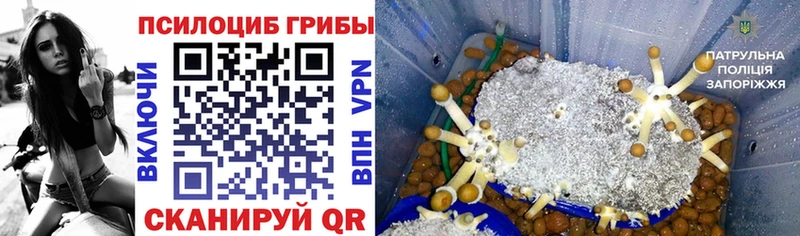 ОМГ ОМГ ONION  наркошоп  Северодвинск  Псилоцибиновые грибы ЛСД 